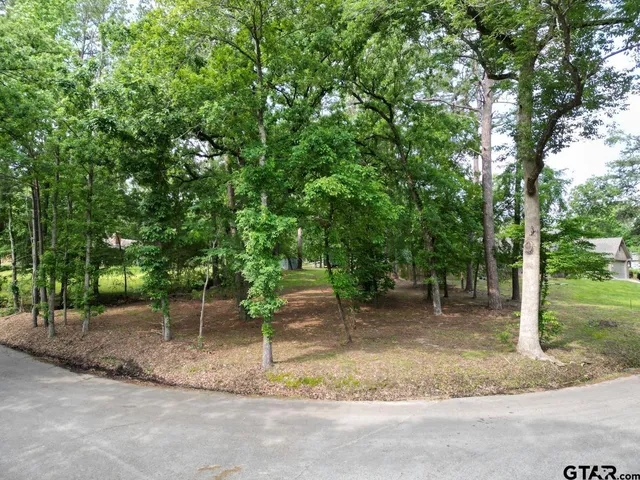 $40,000 | 23628 Cove Park Drive, Bullard, TX 75757