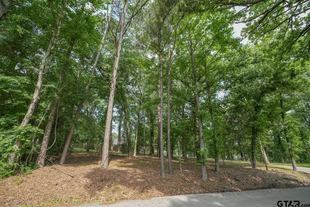 $40,000 | 23628 Cove Park Drive, Bullard, TX 75757