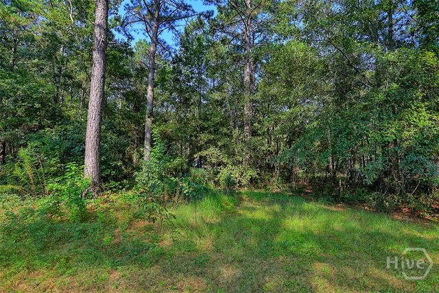 $235,000 | 5209 May Road, Ellabell, GA 31308