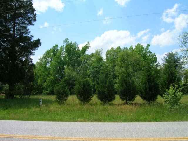 0 Isbell Lane Greenville, SC 29607 - Photo 2 of 2