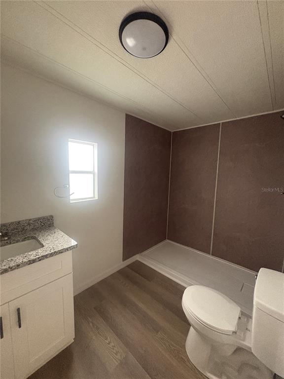3923 Ward Road Lakeland, FL 33810 - Photo 20 of 25 a bathroom with a granite countertop sink a toilet a mirror and vanity