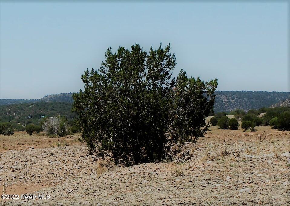 137 Elk Flat Road Seligman, AZ 86337 - Photo 1 of 6 Pic1