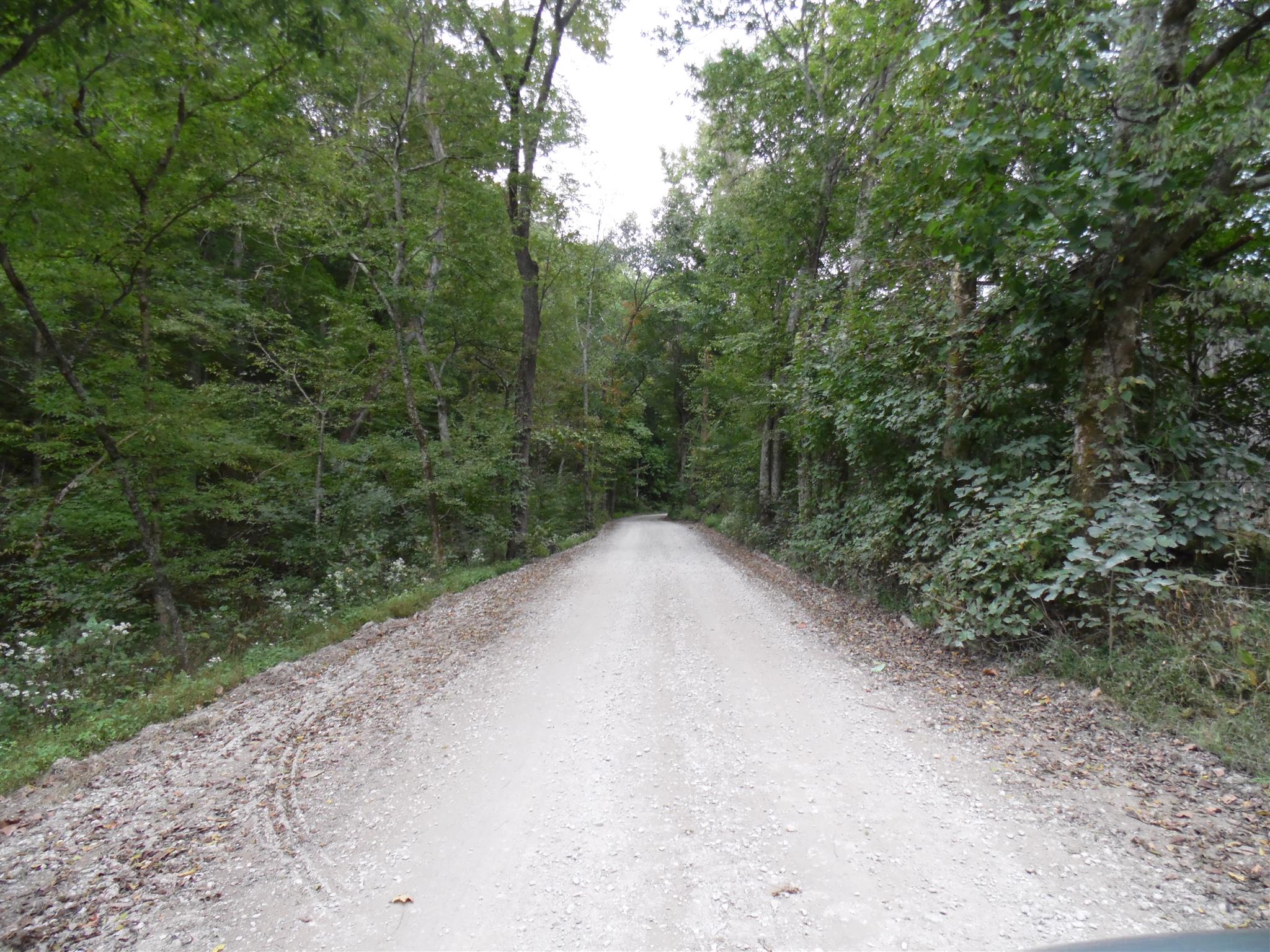 6531 Porters Branch Road Santa Fe, TN 38482 - Photo 18 of 18 a view of a dirt road with trees in the background