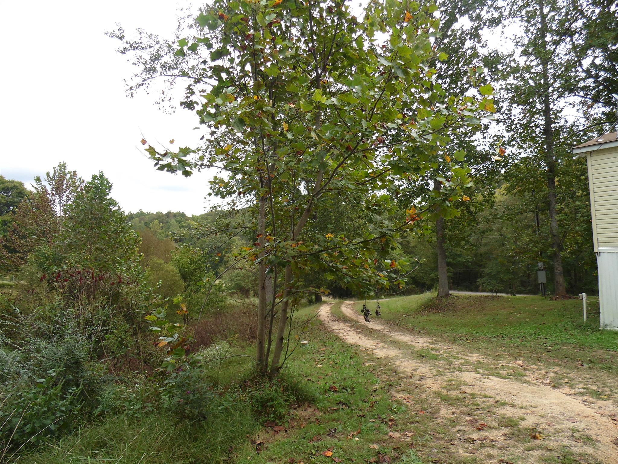 6531 Porters Branch Road Santa Fe, TN 38482 - Photo 4 of 18 a view of a field with a tree