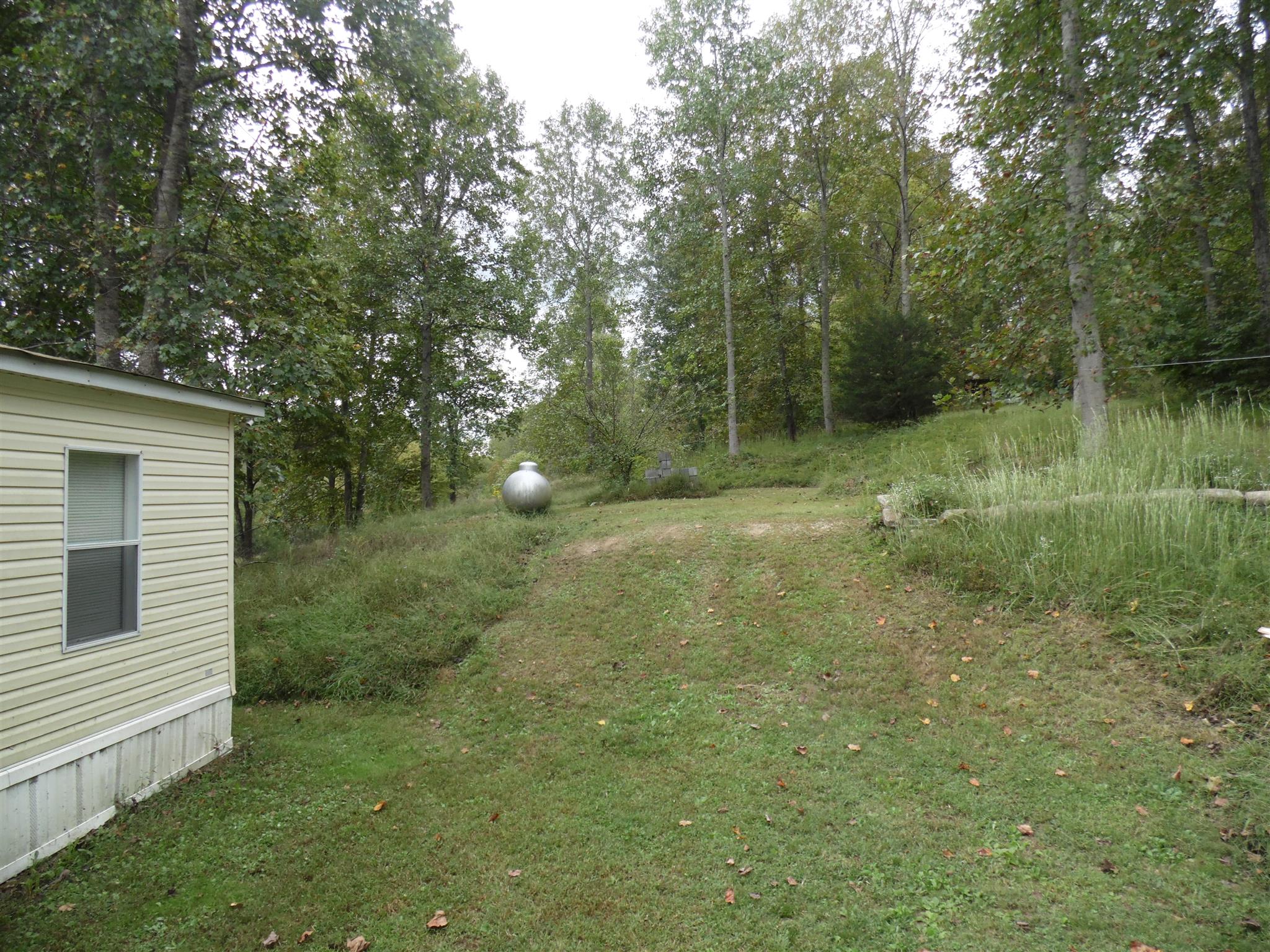 6531 Porters Branch Road Santa Fe, TN 38482 - Photo 7 of 18 a view of a yard
