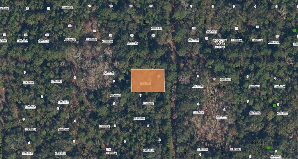 Spruce Drive Georgetown, FL 32139 - Photo 1 of 1 a view of bushes
