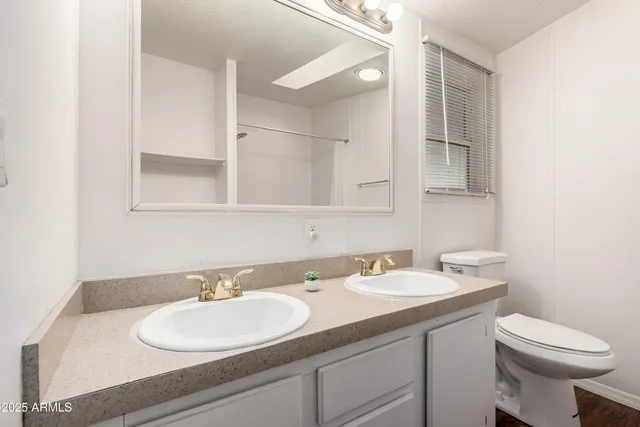 a bathroom with a sink and a toilet