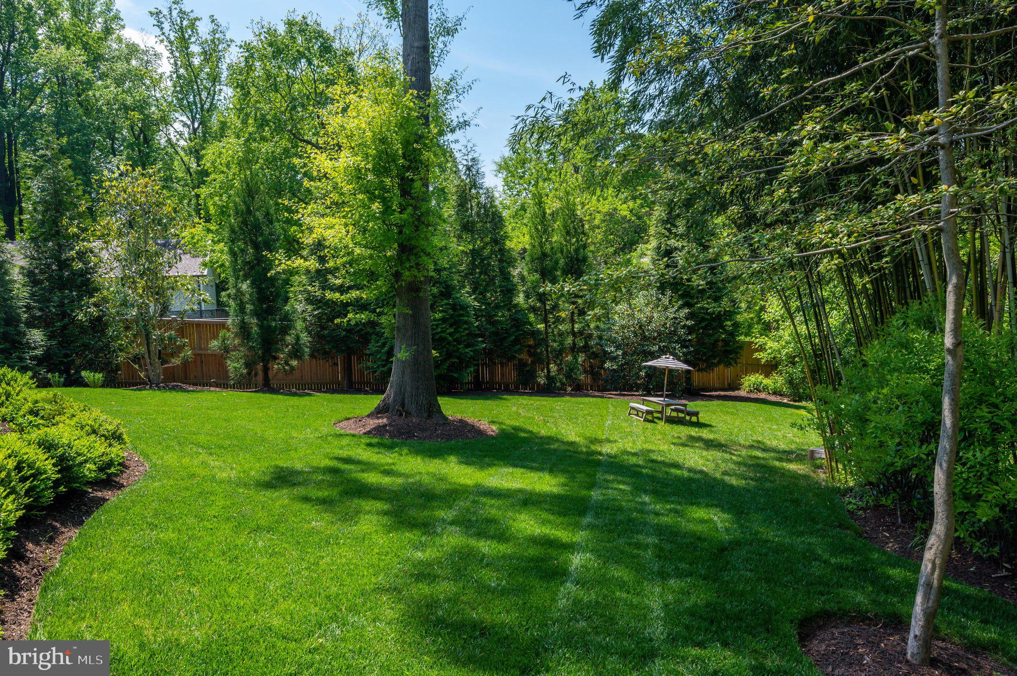 1010 Turkey Run Road McLean, VA 22101 - Photo 16 of 25