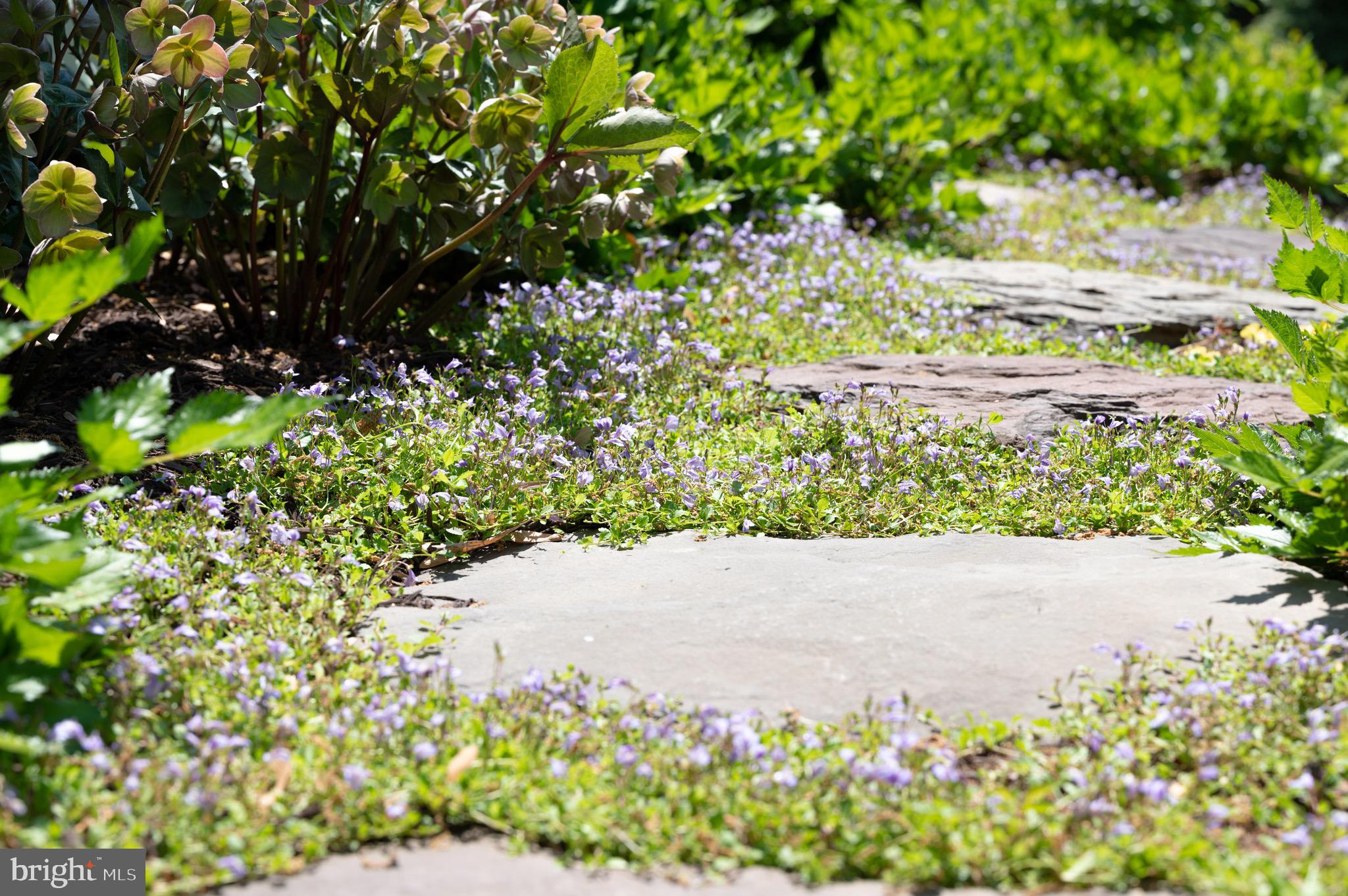 1010 Turkey Run Road McLean, VA 22101 - Photo 22 of 25