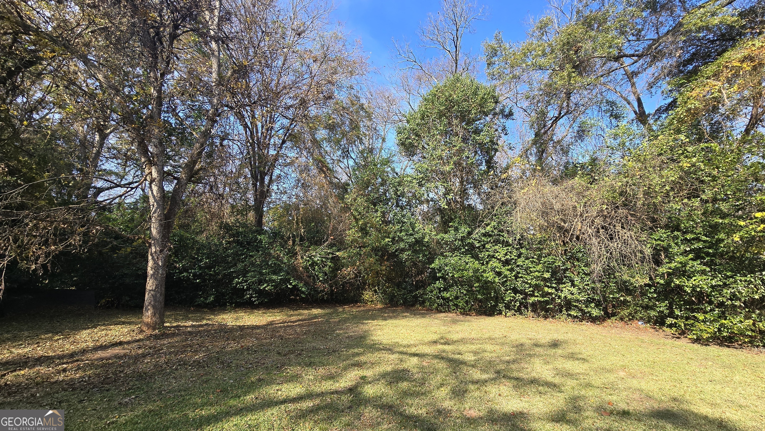 509 Anderson Avenue Fort Valley, GA 31030 - Photo 20 of 22 a view of empty space with trees