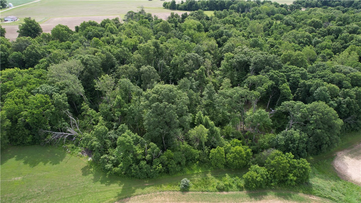 21000 East 500th Road Paris, IL 61944 - Photo 24 of 34