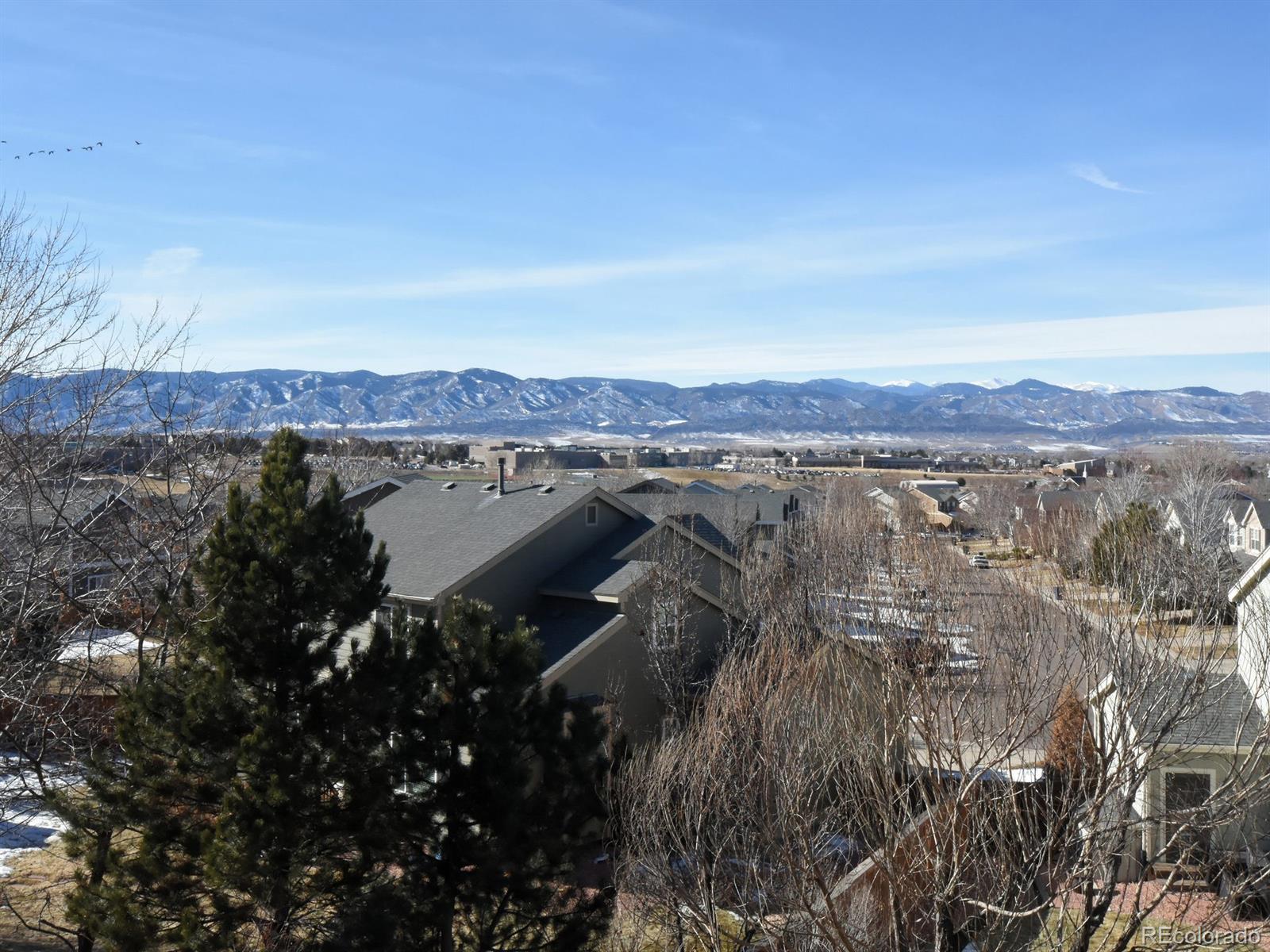 1005 Riddlewood Road Highlands Ranch, CO 80129 - Photo 10 of 35