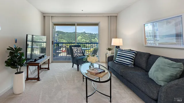 $80,000 | 100 Thorndale Drive, Unit 222, San Rafael, CA 94903
