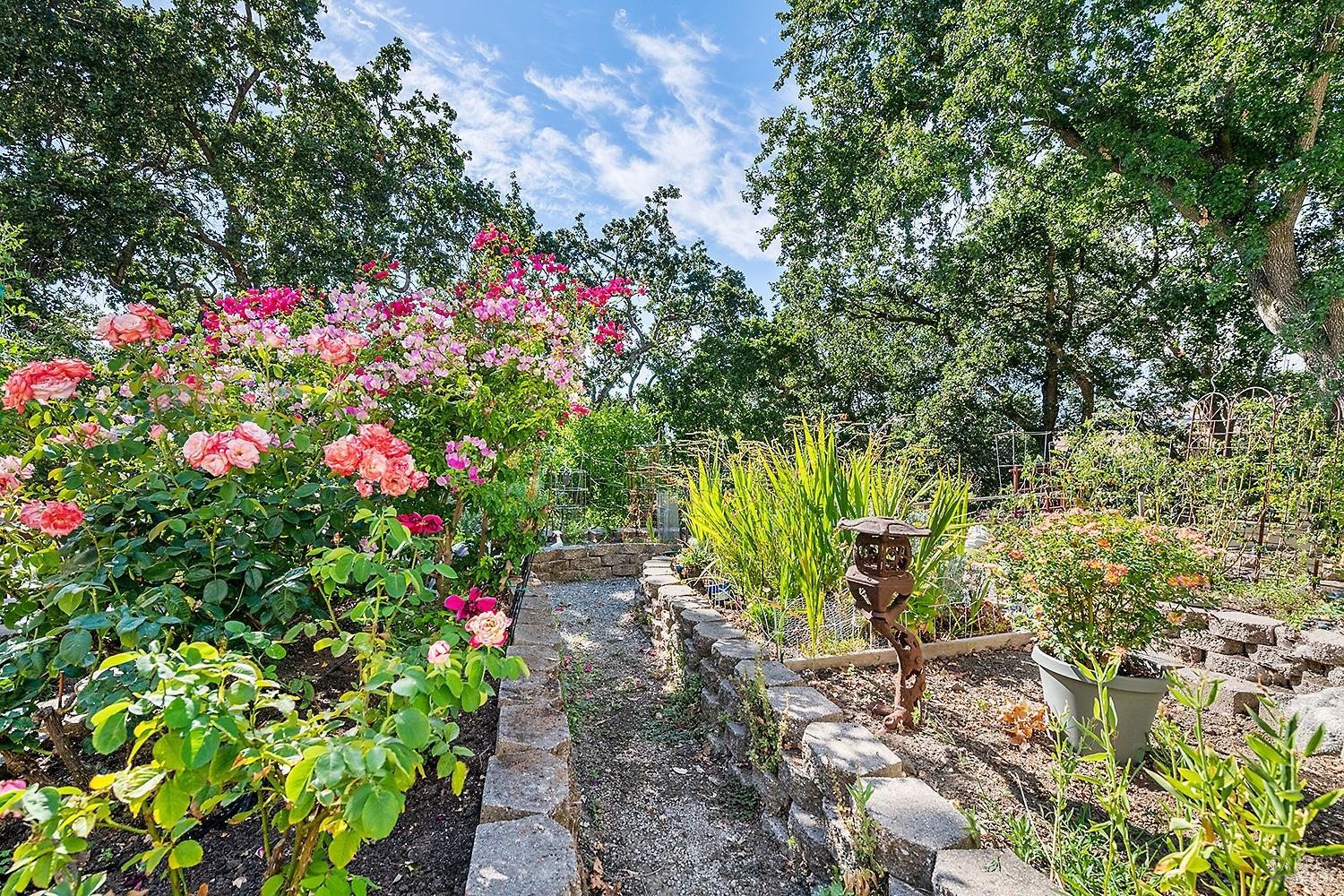 100 Thorndale Drive, Unit 222 San Rafael, CA 94903 - Photo 21 of 28