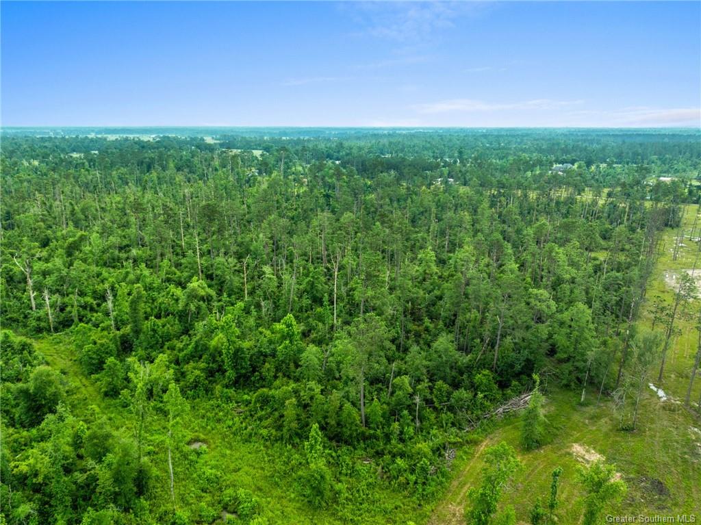 0 Duke Hollingsworth Road Ragley, LA 70657 - Photo 11 of 12 Gallery Image 11