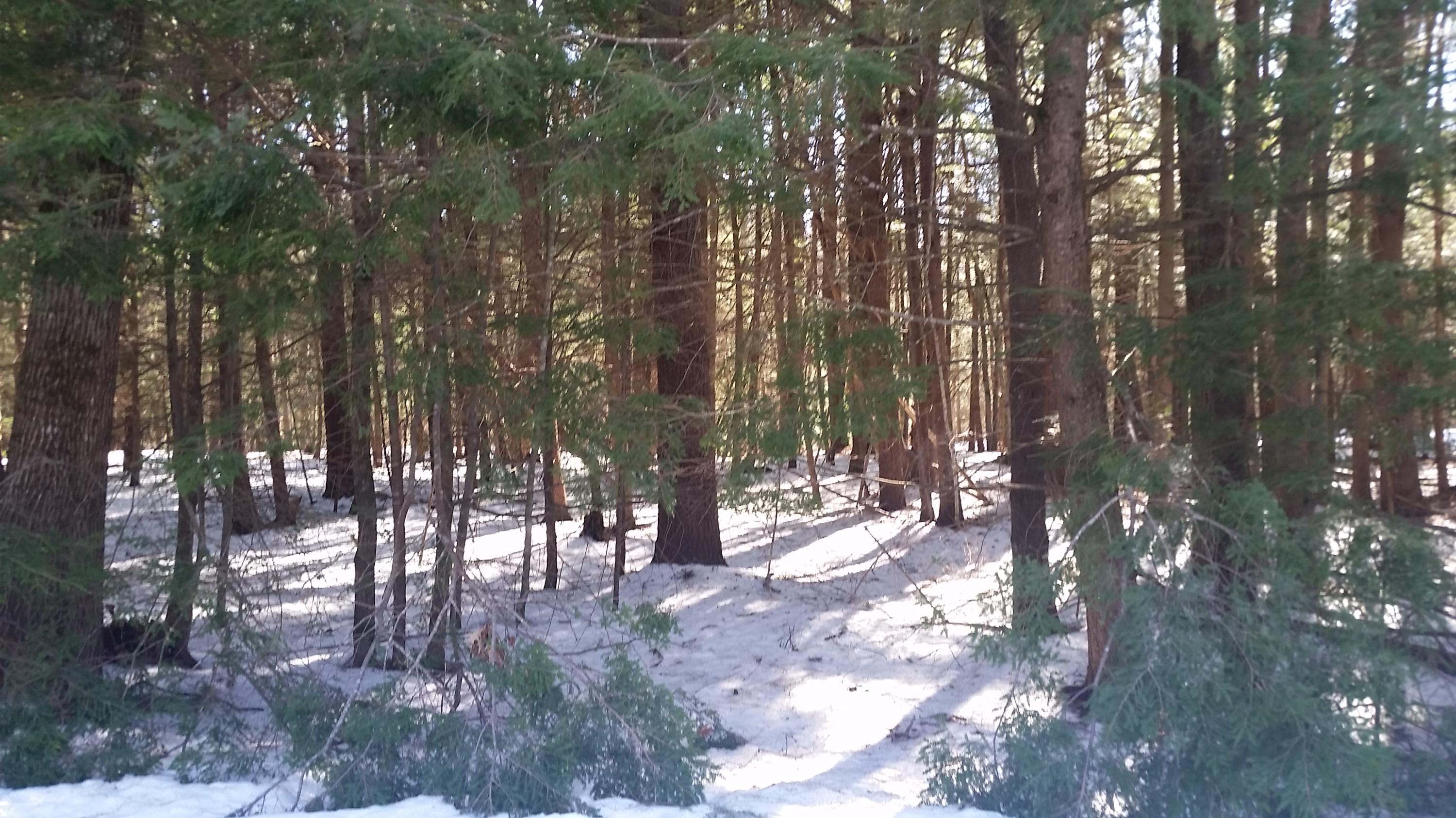 0 Snow Road Durham, ME 04222 - Photo 3 of 6 20200305_095849