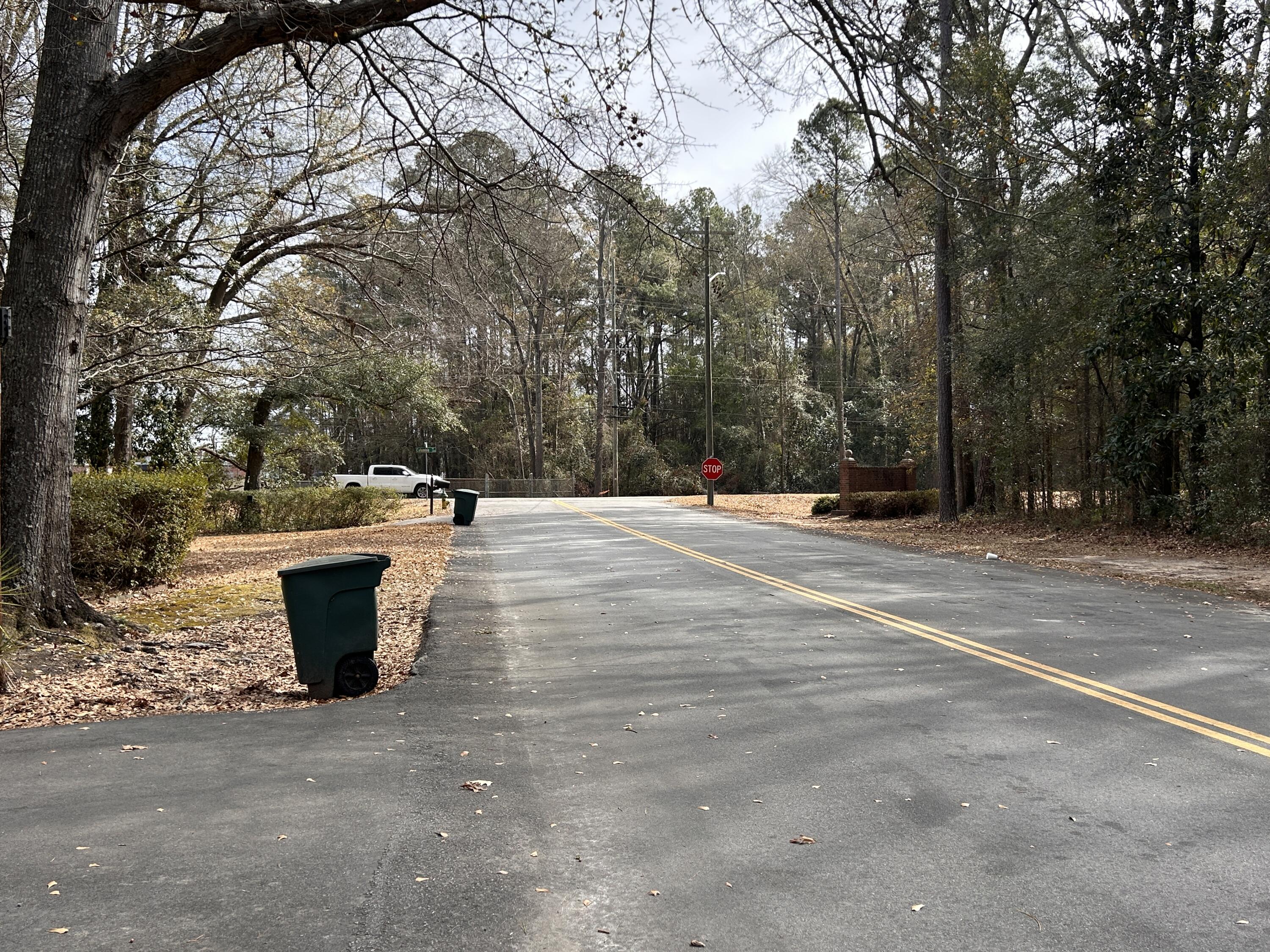 755 State Rd S-38-1103 Orangeburg, SC 29115 - Photo 22 of 25 IMG_7474