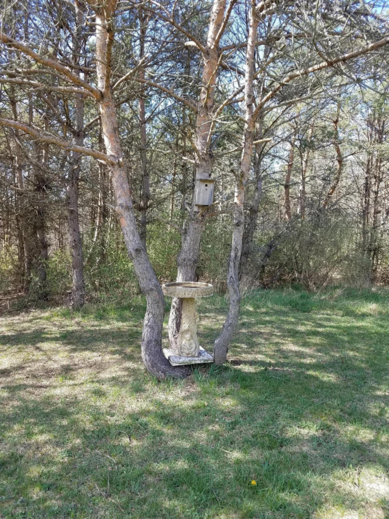 4716 13 Mile Road Remus, MI 49340 - Photo 23 of 29 20170416_162556