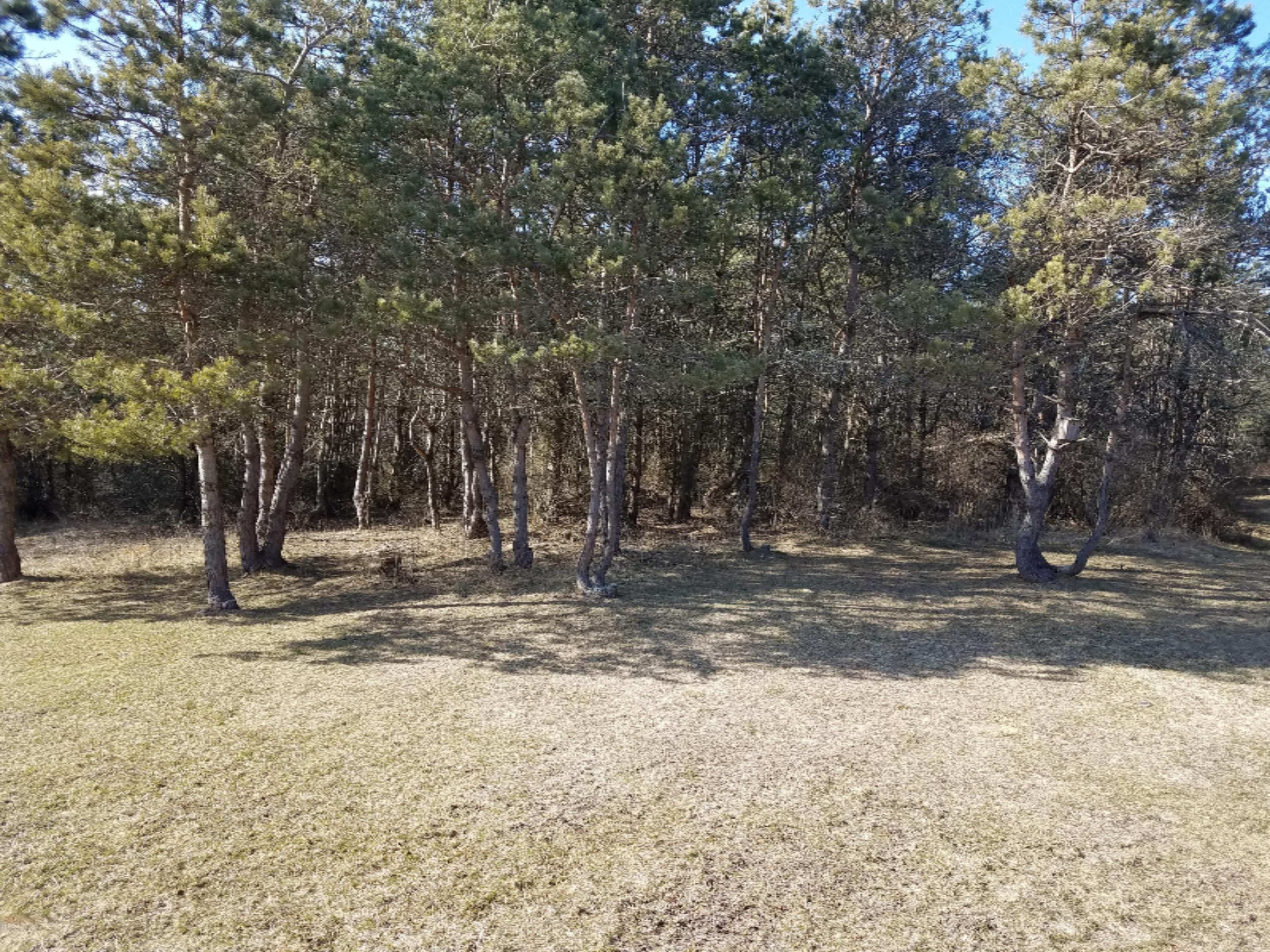 4716 13 Mile Road Remus, MI 49340 - Photo 25 of 29 20170322_171721 (1)