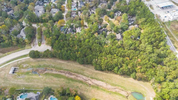 a view of a garden with a tree