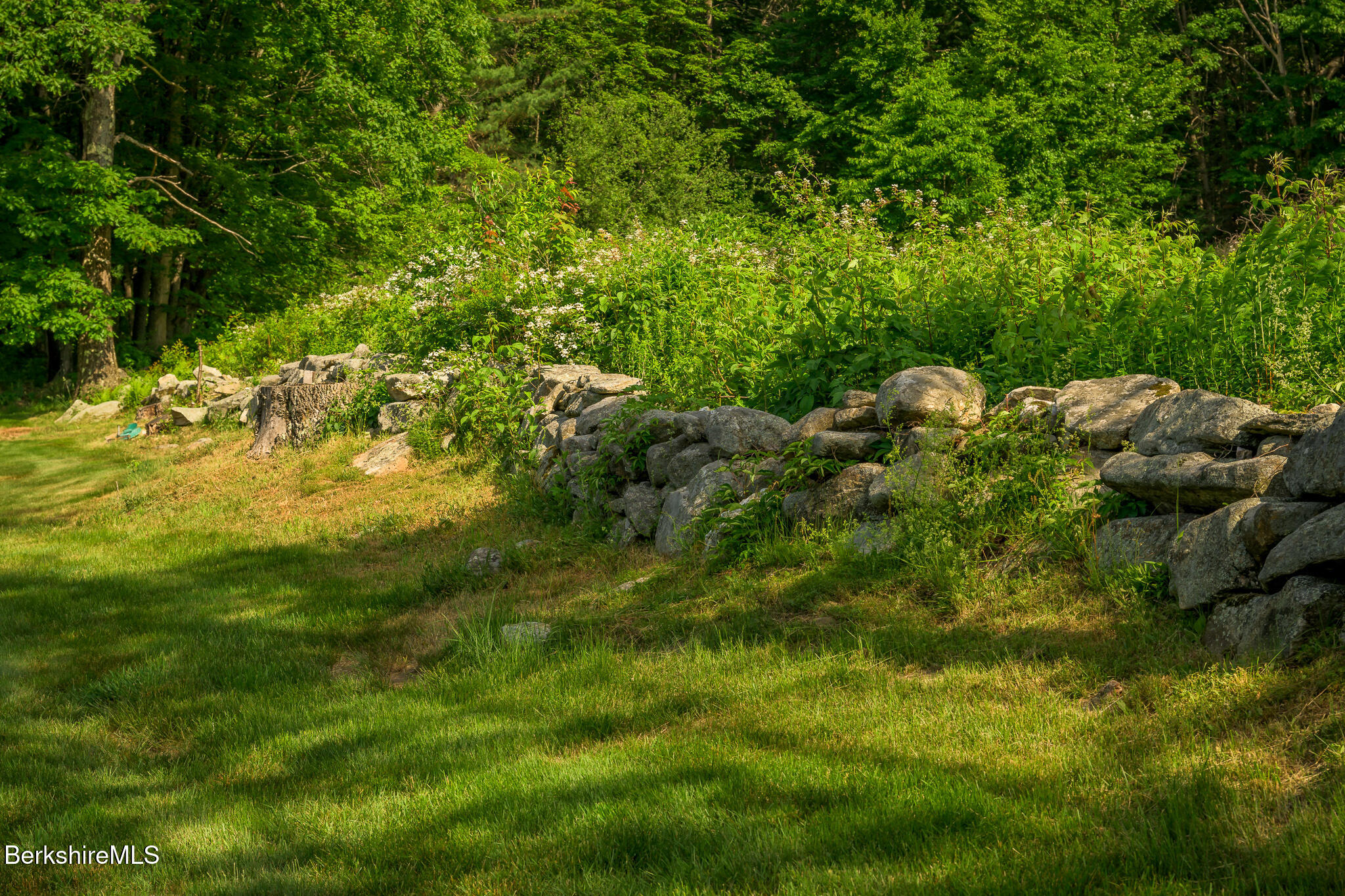 161 Beartown Mountain Road Monterey, MA 01245 - Photo 57 of 60 Screen - 161 Beartown Mountain Rd Great