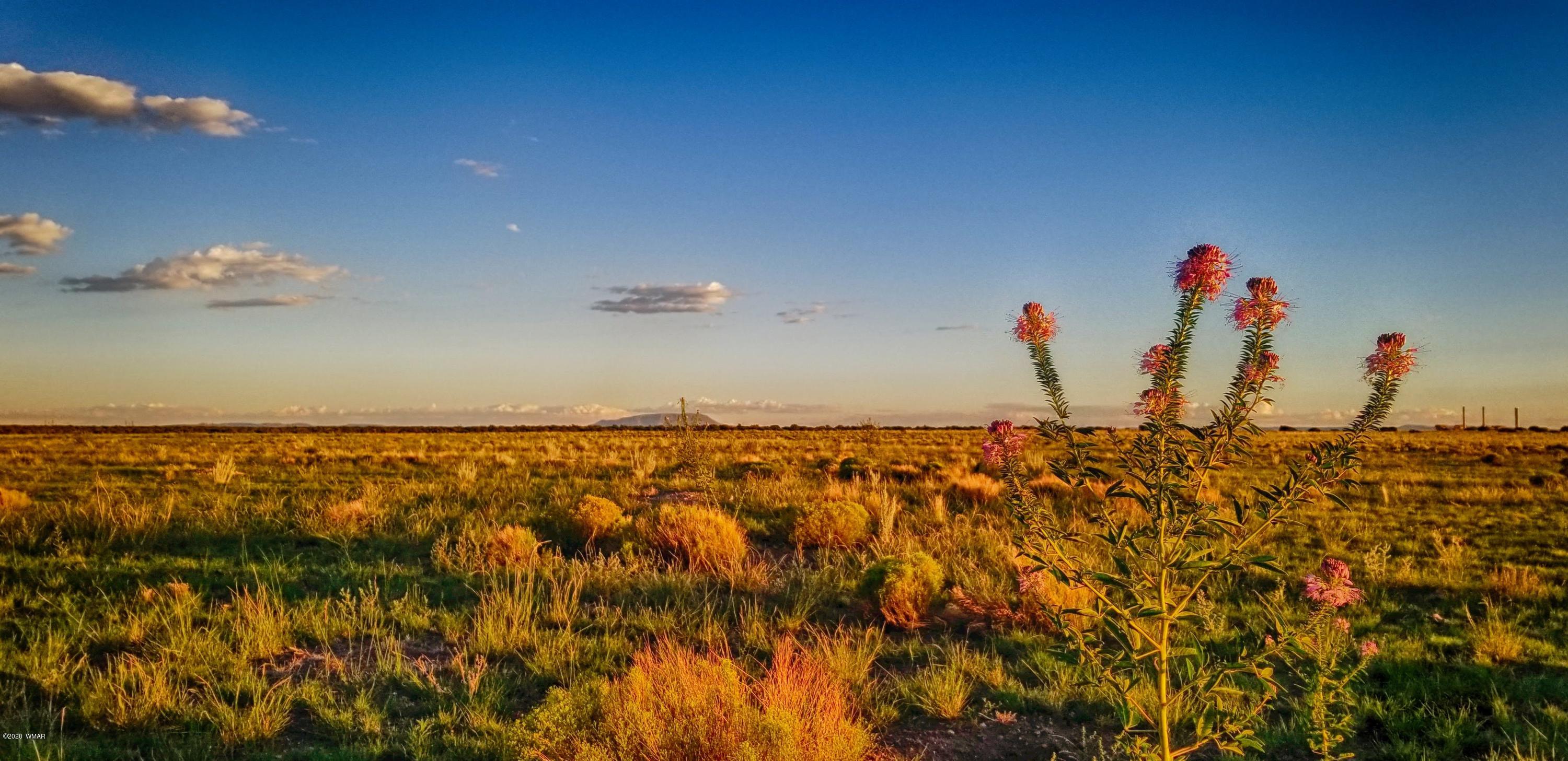 Lot 109 Elk Valley Ranch, Unit 2 St. Johns, AZ 85936 - Photo 11 of 18
