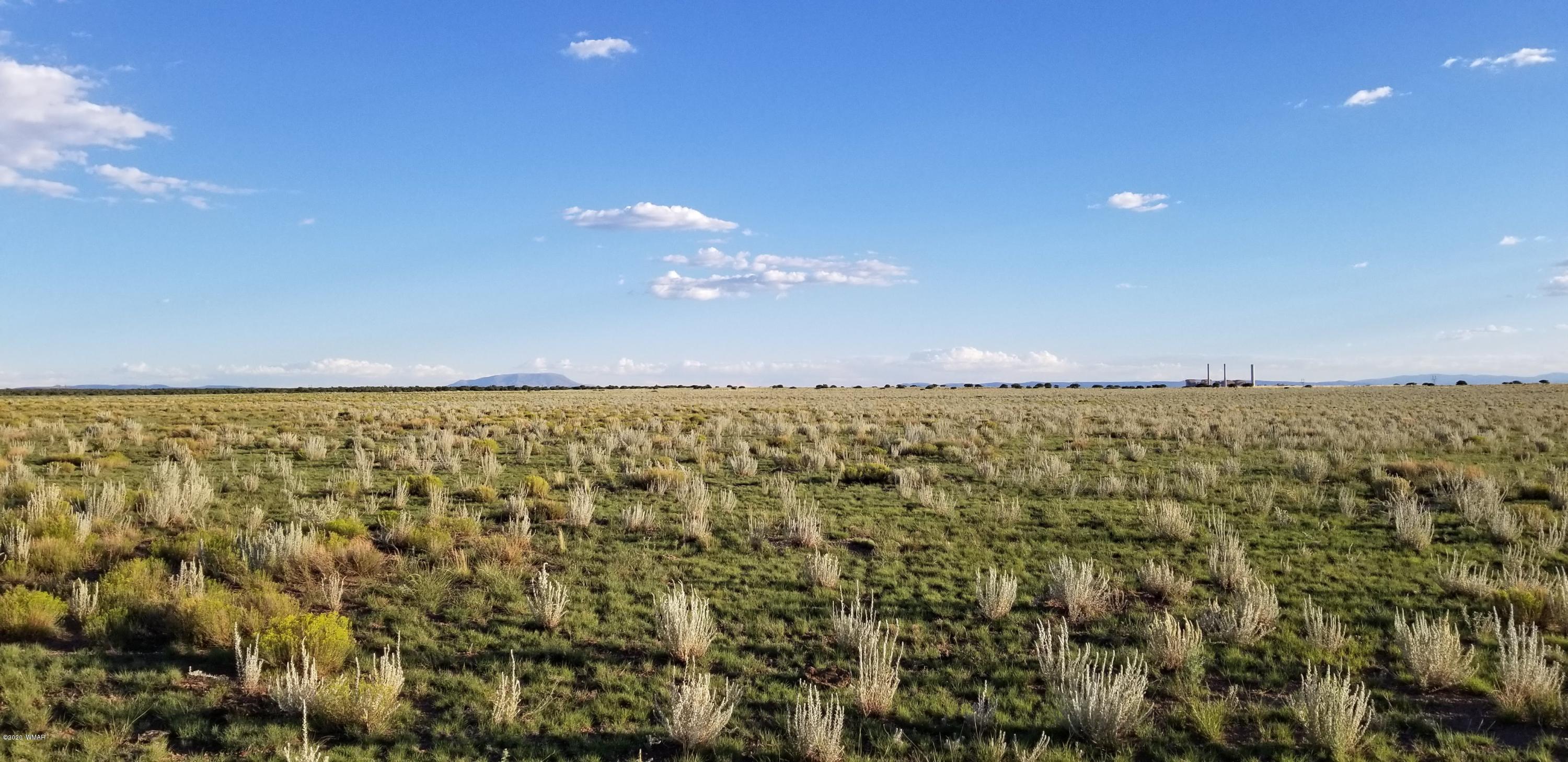 Lot 109 Elk Valley Ranch, Unit 2 St. Johns, AZ 85936 - Photo 14 of 18