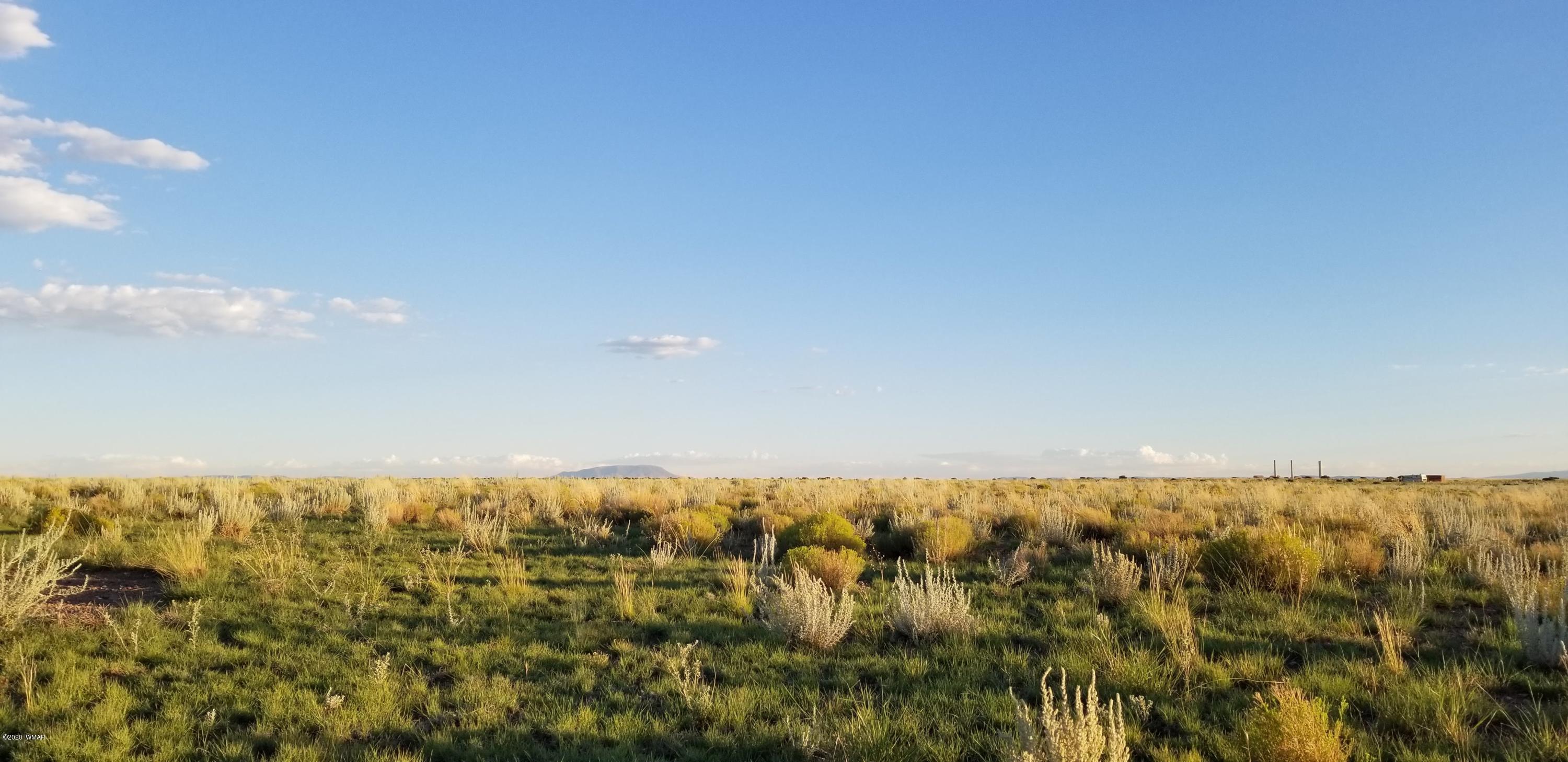 Lot 109 Elk Valley Ranch, Unit 2 St. Johns, AZ 85936 - Photo 15 of 18