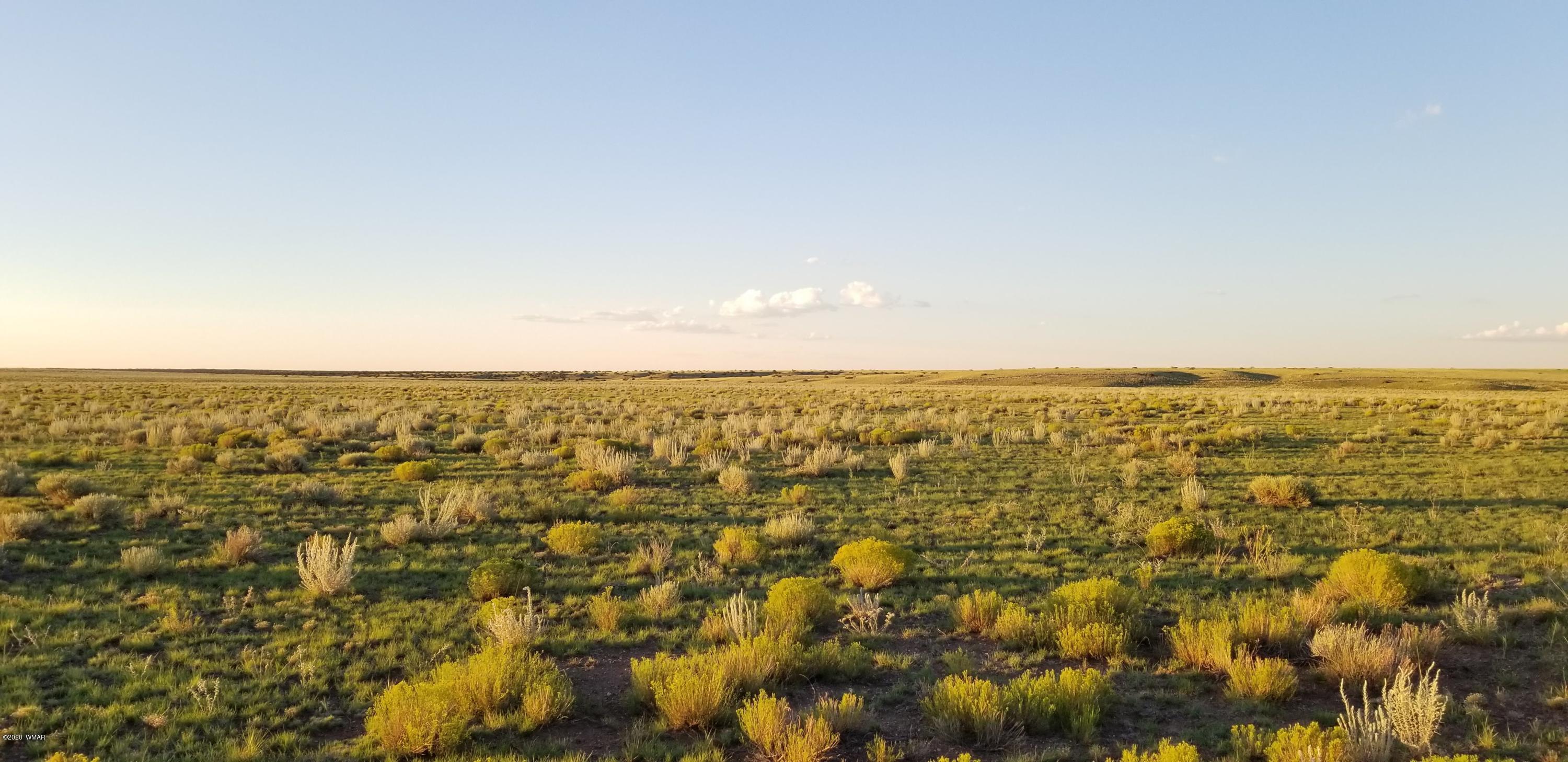 Lot 109 Elk Valley Ranch, Unit 2 St. Johns, AZ 85936 - Photo 17 of 18