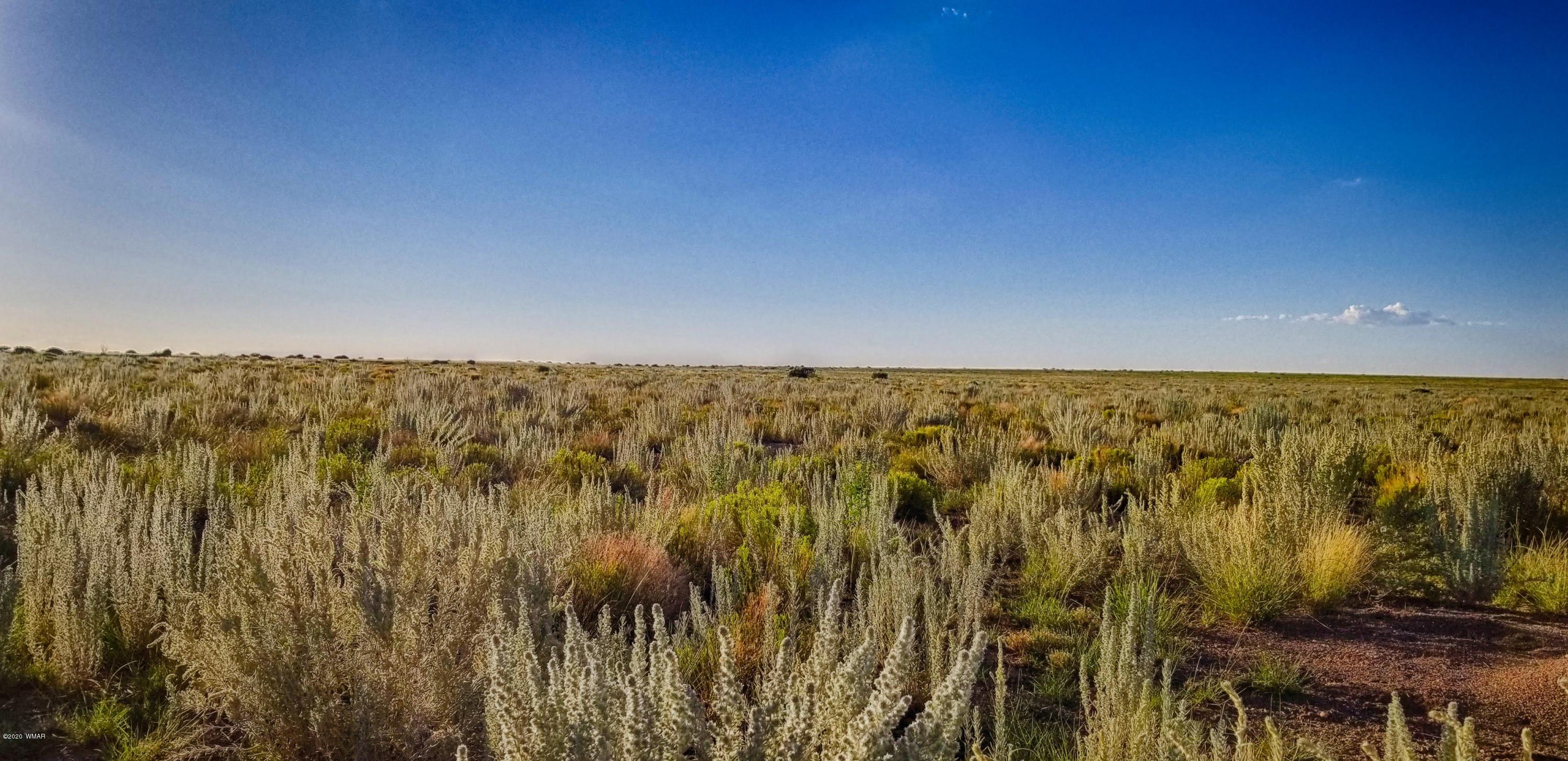 Lot 109 Elk Valley Ranch, Unit 2 St. Johns, AZ 85936 - Photo 3 of 18