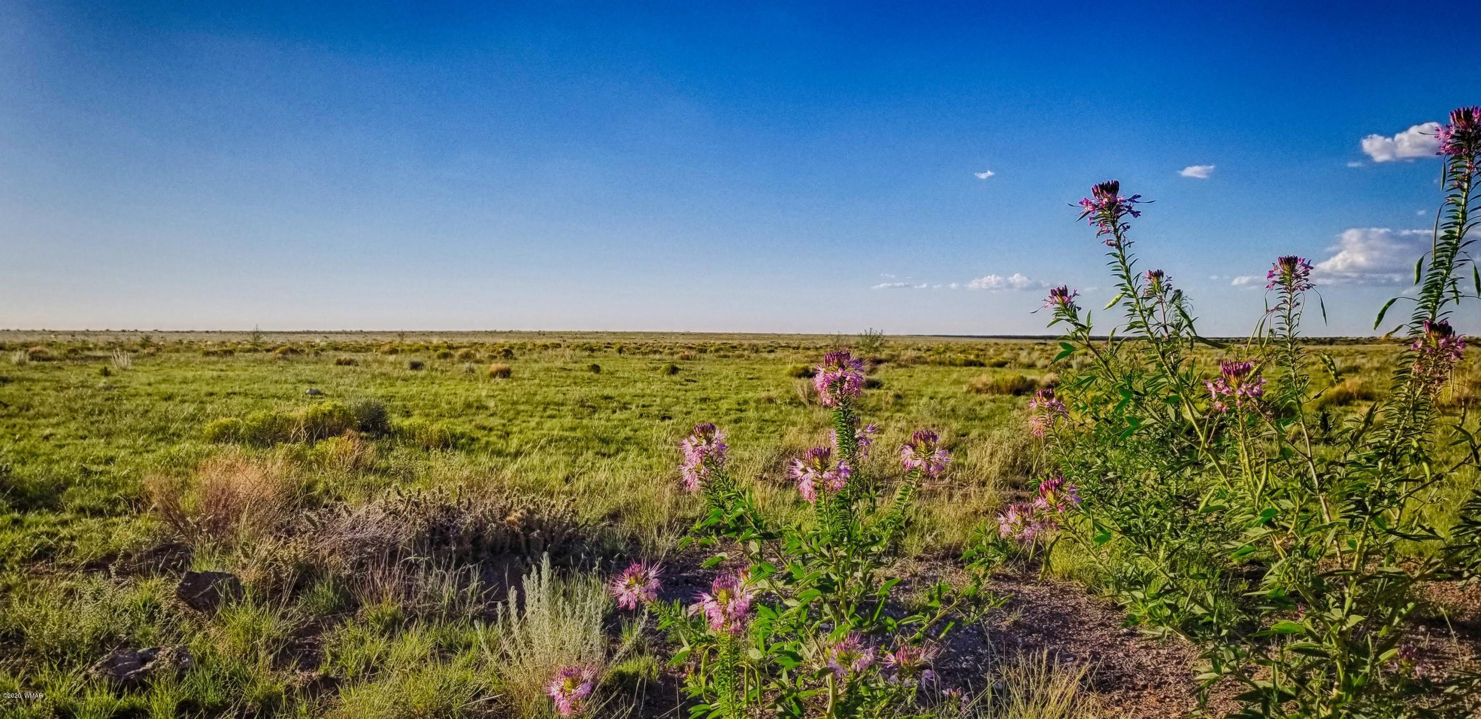 Lot 109 Elk Valley Ranch, Unit 2 St. Johns, AZ 85936 - Photo 4 of 18