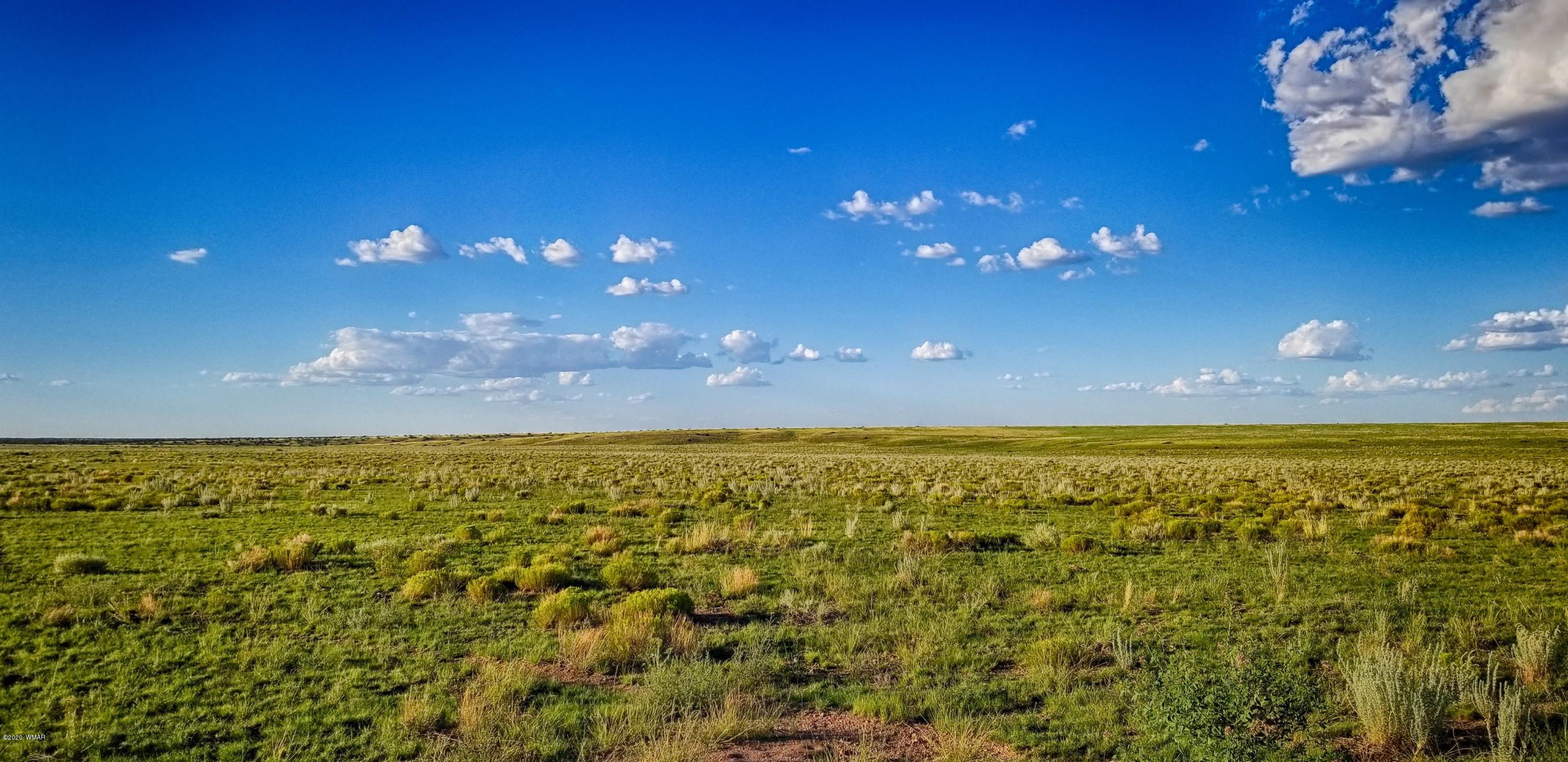Lot 109 Elk Valley Ranch, Unit 2 St. Johns, AZ 85936 - Photo 5 of 18