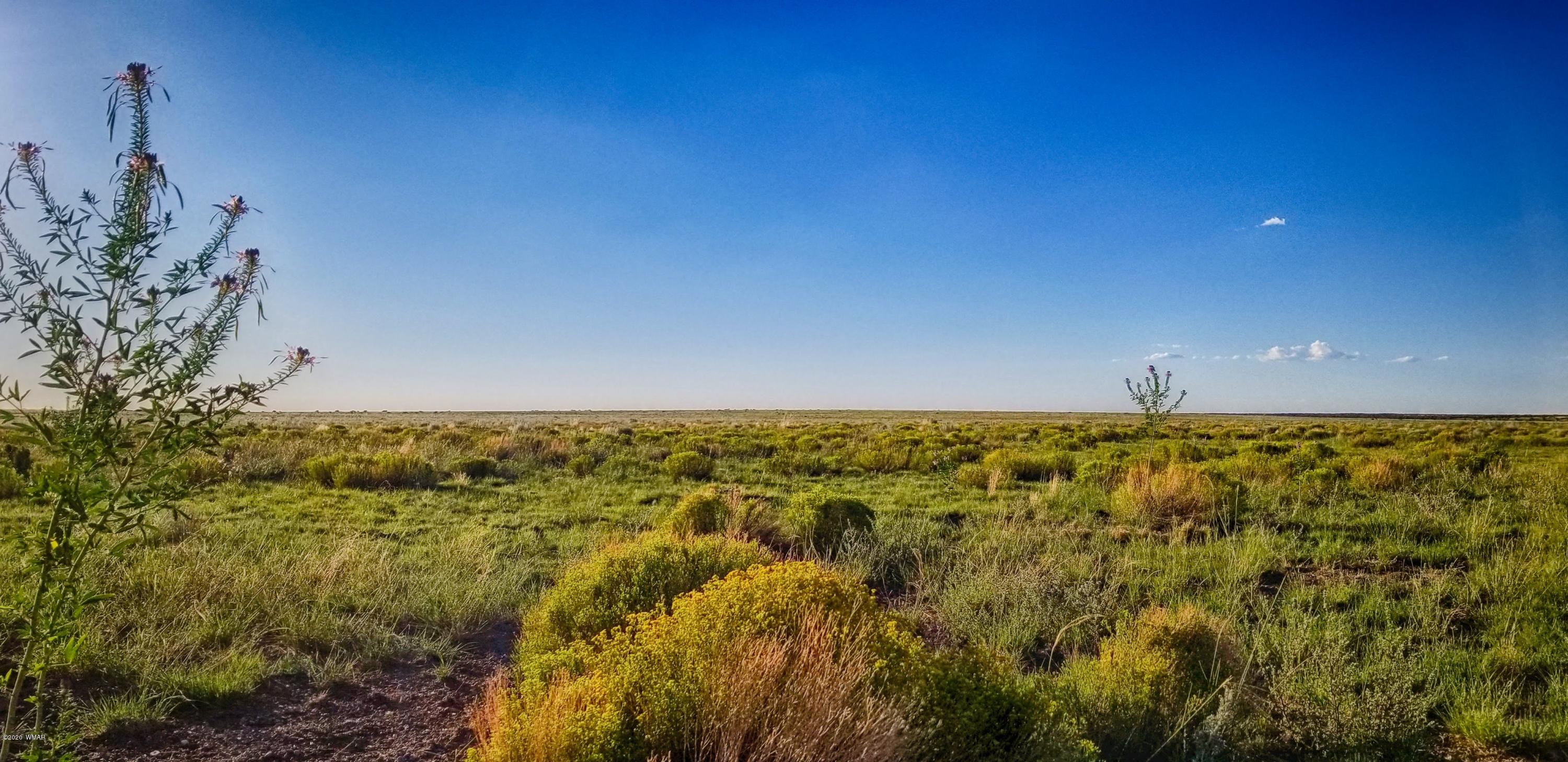 Lot 109 Elk Valley Ranch, Unit 2 St. Johns, AZ 85936 - Photo 6 of 18