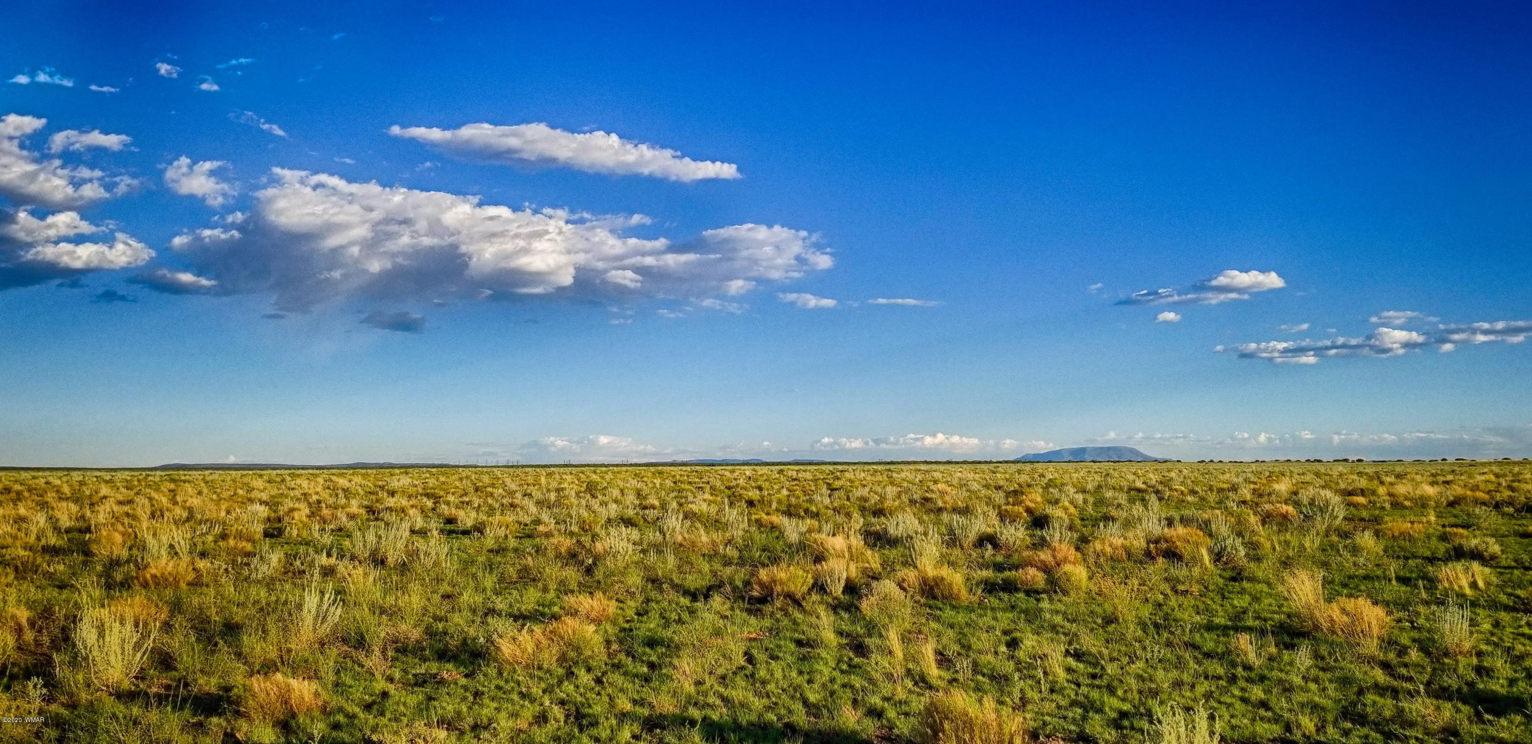 Lot 109 Elk Valley Ranch, Unit 2 St. Johns, AZ 85936 - Photo 7 of 18