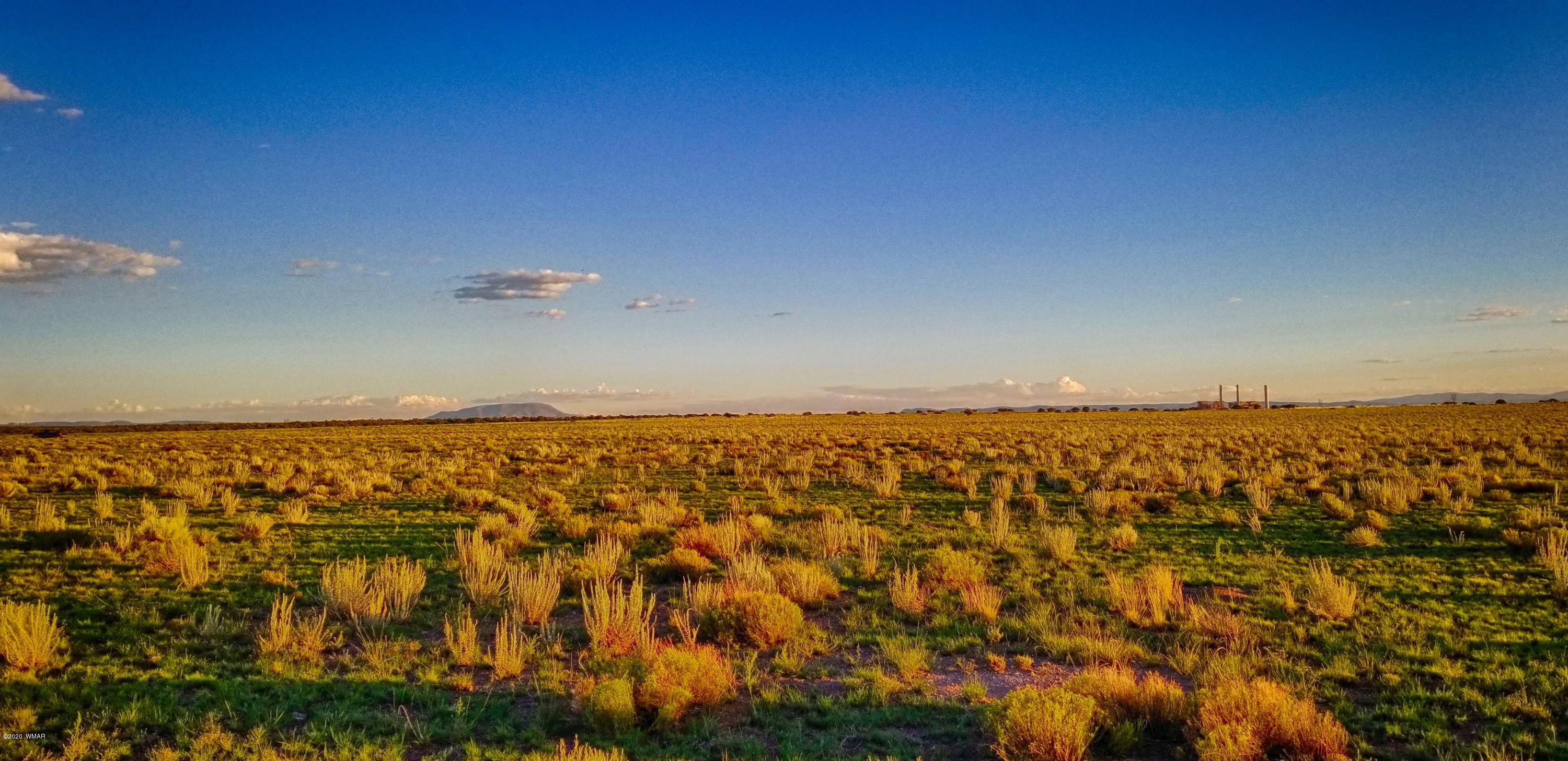 Lot 109 Elk Valley Ranch, Unit 2 St. Johns, AZ 85936 - Photo 10 of 18