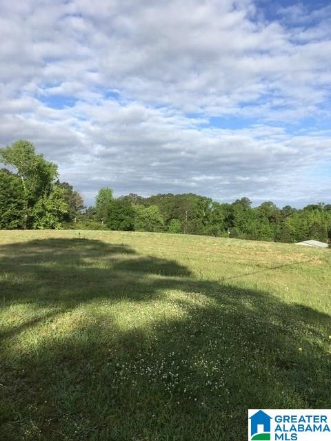 0 Highway 231, Unit 1 5 Oneonta, AL 35121 - Photo 1 of 23