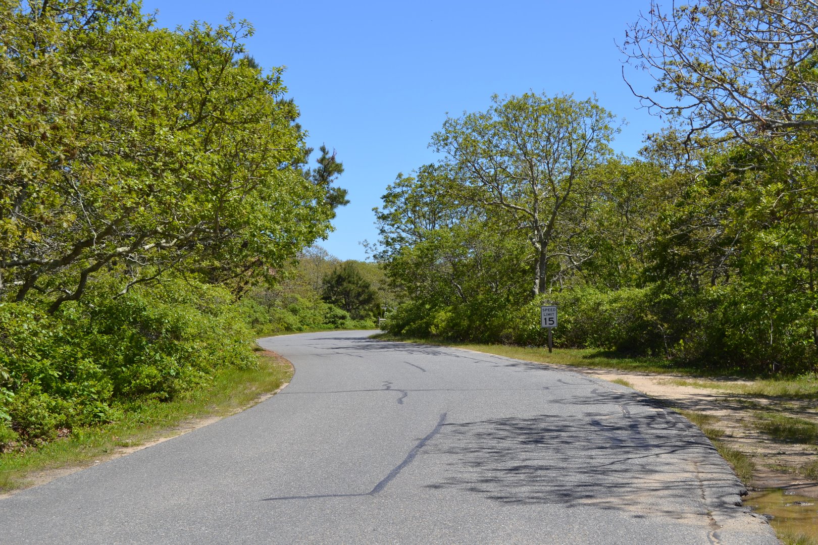 9 Coffins Field Road Edgartown, MA 02539 - Photo 2 of 6 Gallery Image 2