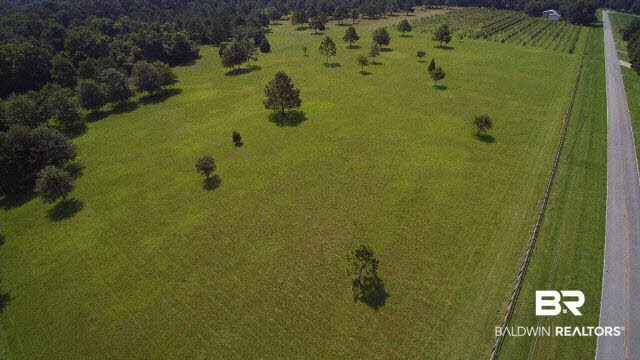 27608 County Road 65 Loxley, AL 36551 - Photo 20 of 32 CR 65 Frontage