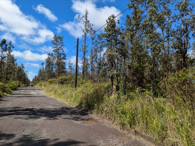a view of a dirt road with trees