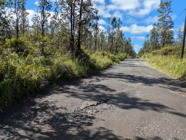 a view of a yard with plants and wooden fence