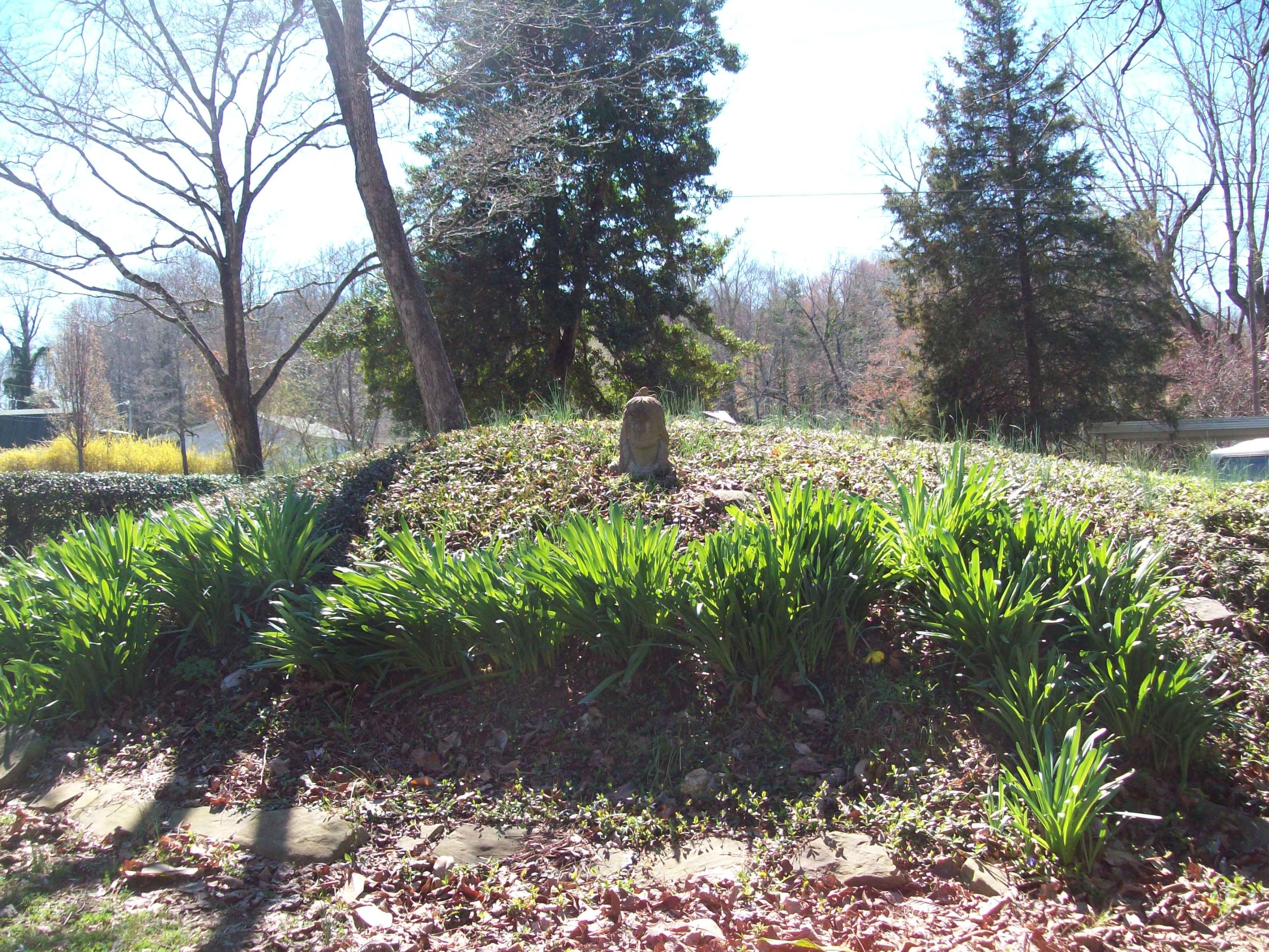 120 Terrace View Drive Spring City, TN 37381 - Photo 4 of 39 100_5178