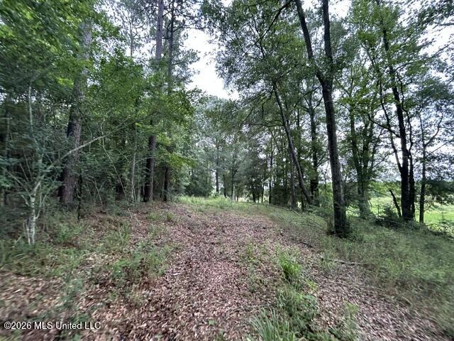 301 Freeman Road Southwest Summit, MS 39666 - Photo 9 of 43 IMG_4590