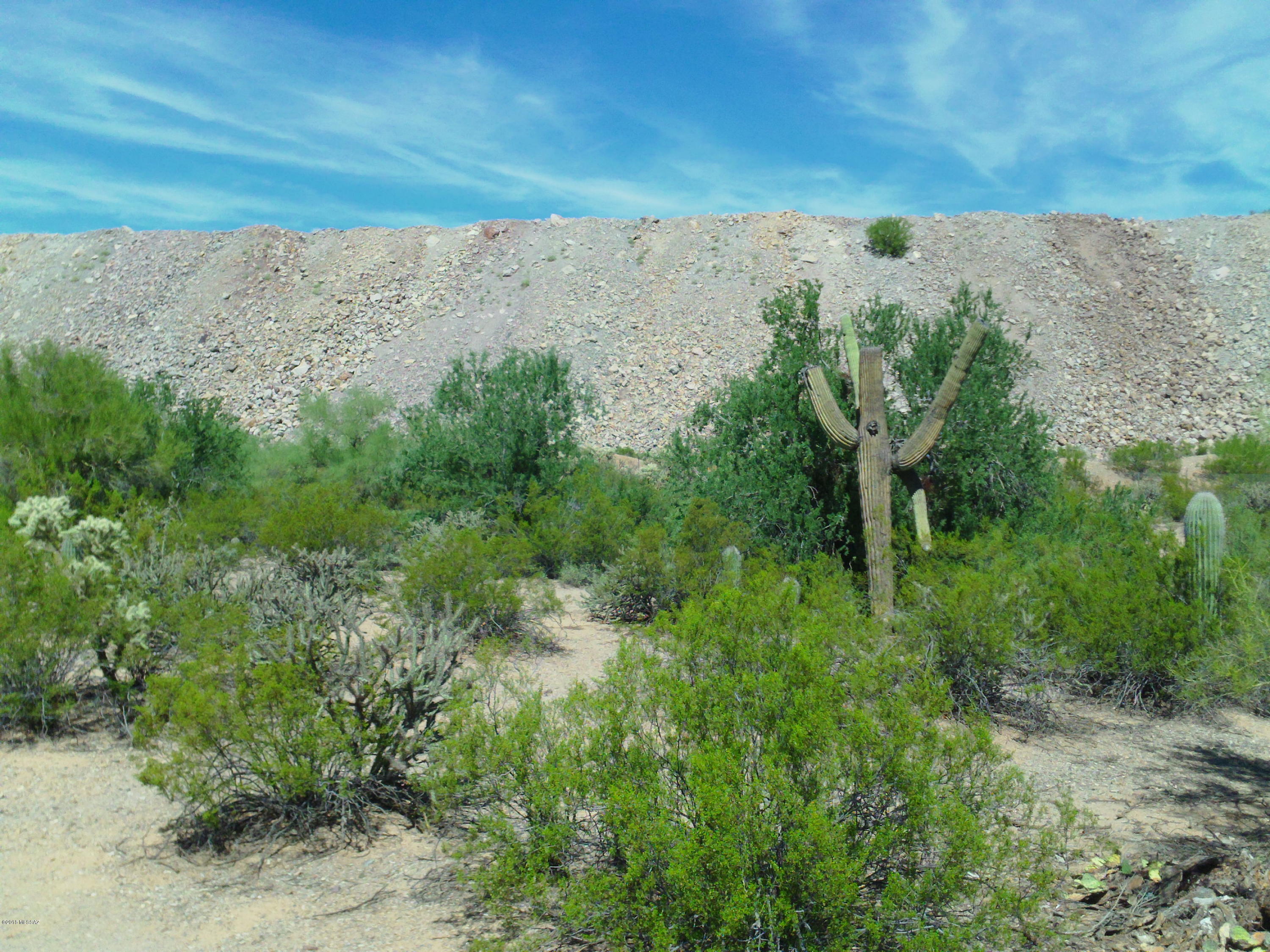 Massingale (roxy Rd) Road Tucson, AZ 85743 - Photo 2 of 11