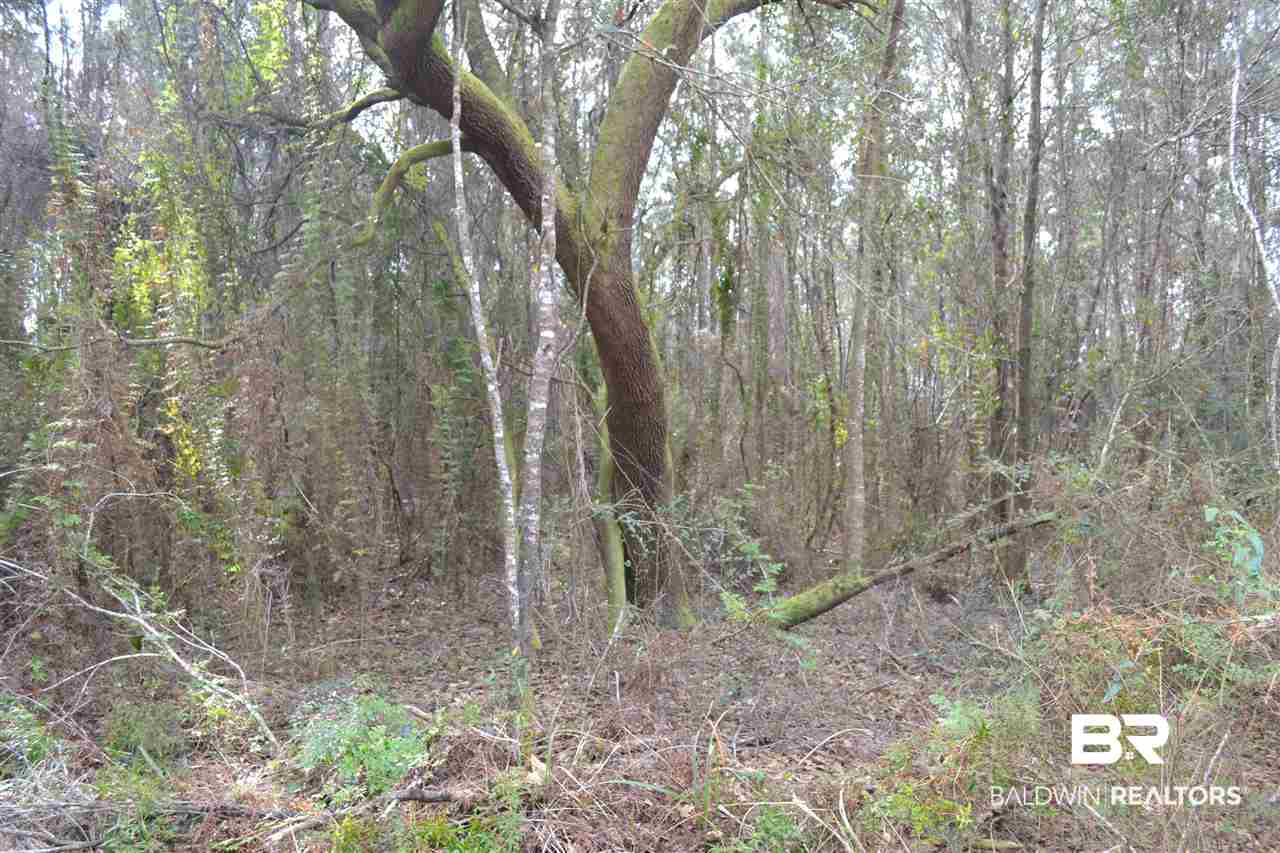 0 Mohr Lane Elberta, AL 36530 - Photo 9 of 15