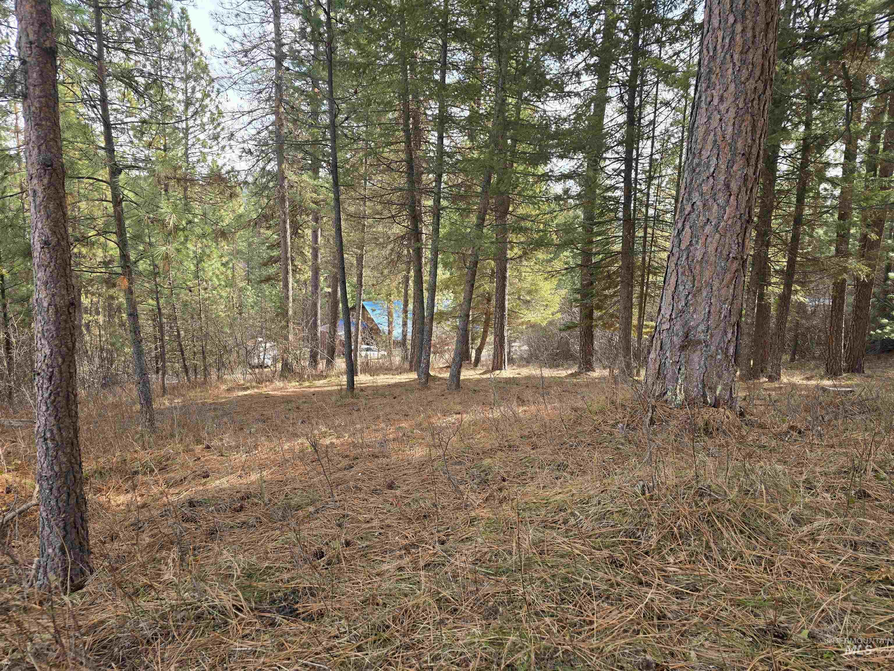 Tbd Ranch Road Garden Valley, ID 83622 - Photo 8 of 12