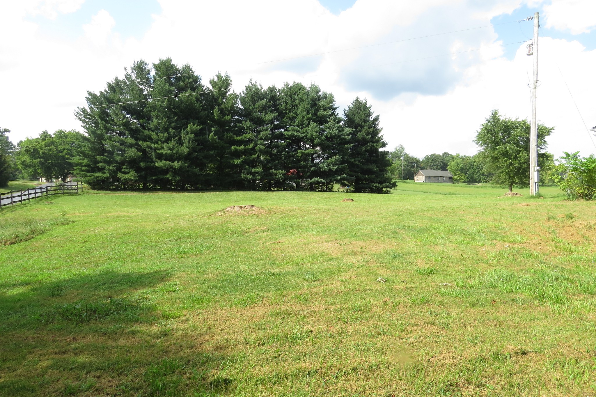 2749 North Mt Pleasant Road Greenbrier, TN 37073 - Photo 13 of 13 a view of a field with an trees in the background