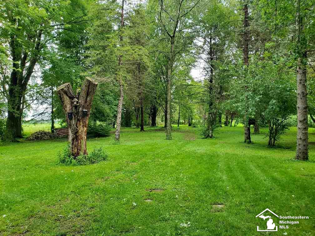 4966 Scofield Carleton Road Carleton, MI 48117 - Photo 36 of 37