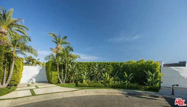 a plant that is in front of a building
