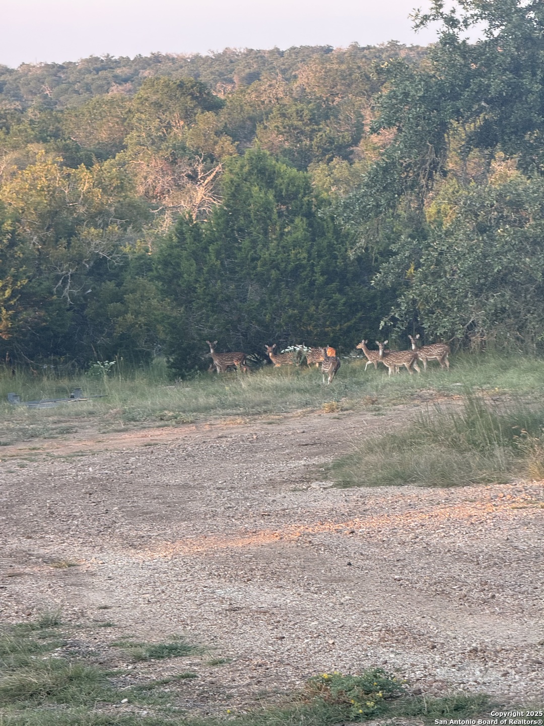 228-232 Spring Road Fredericksburg, TX 78624 - Photo 77 of 82