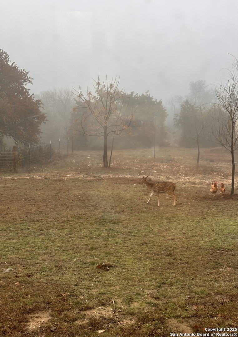 228-232 Spring Road Fredericksburg, TX 78624 - Photo 78 of 82